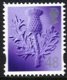 (image for) 48p Thistle