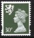(image for) 30p Olive 2 Bands