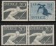 (image for) 1954 Skiing Championships