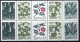 (image for) 1968 Wild Flowers