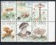 (image for) 1978 Edible Mushrooms