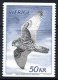 (image for) 1981 Birds - Gyrfalcon