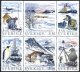 (image for) 1989 Polar Research