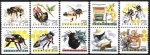 (image for) 1990 Honey Bees