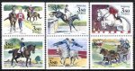 (image for) 1990 Equestrian Games