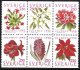 (image for) 1990 Christmas Flowers