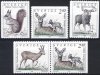 (image for) 1992 Wildlife