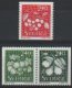 (image for) 1993 Fruit