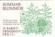 (image for) 1993 Summer Flowers