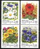 (image for) 1993 Summer Flowers