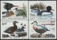 (image for) 1993 Sea Birds