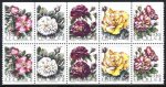 (image for) 1994 Roses