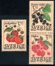 (image for) 1995 Berries