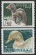 (image for) 1995 Domestic Animals (3rd series)