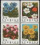(image for) 1995 Mountain Flowers
