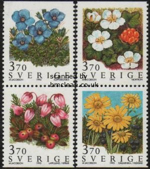 (image for) 1995 Mountain Flowers