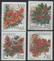 (image for) 1996 Winter Berries
