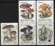 (image for) 1996 Fungi