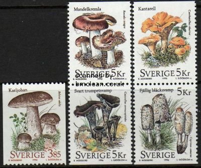 (image for) 1996 Fungi