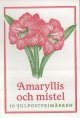 (image for) 1998 Christmas Flowers