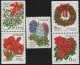 (image for) 1998 Christmas Flowers