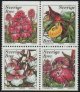 (image for) 1999 Orchids