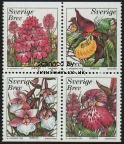 (image for) 1999 Orchids