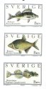 (image for) 2001 Fishes