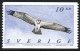 (image for) 2002 Osprey