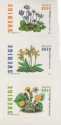 (image for) 2003 Flowers