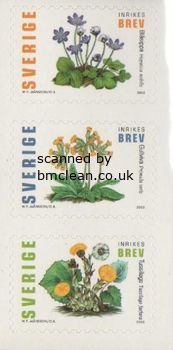 (image for) 2003 Flowers