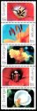(image for) 2004 Flowers