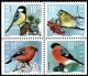 (image for) 2004 Winter Birds