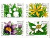 (image for) 2005 Spring Flowers