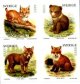 (image for) 2005 Animal Cubs
