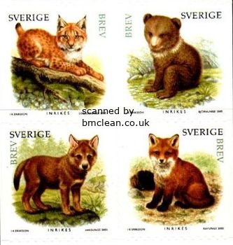 (image for) 2005 Animal Cubs