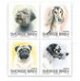 (image for) 2008 Dogs