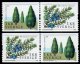 (image for) 2008 Trees - Juniper (1 Kr)