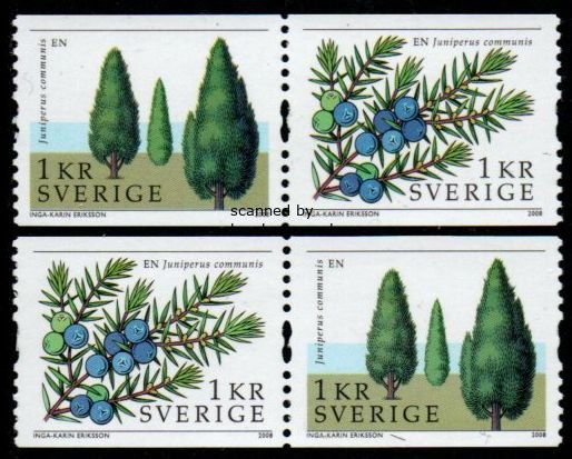 (image for) 2008 Trees - Juniper (1 Kr)