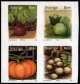(image for) 2008 Autumn Harvest