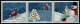 (image for) 2008 Winter Games