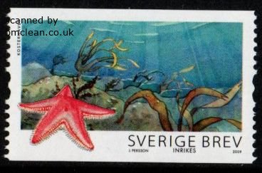 (image for) 2009 Summer Nature