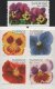 (image for) 2010 Pansies