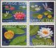 (image for) 2011 Waterlilies