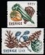 (image for) 2011 Seed Capsules