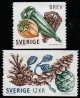 (image for) 2011 Seed Capsules