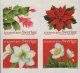 (image for) 2011 Christmas Flowers