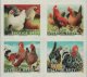(image for) 2012 Poultry - Hens