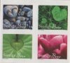 (image for) 2013 Heart of Nature