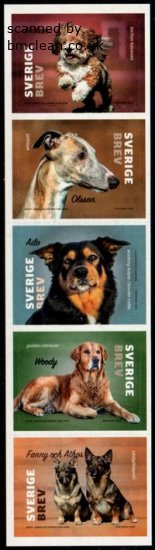 (image for) 2020 Dogs